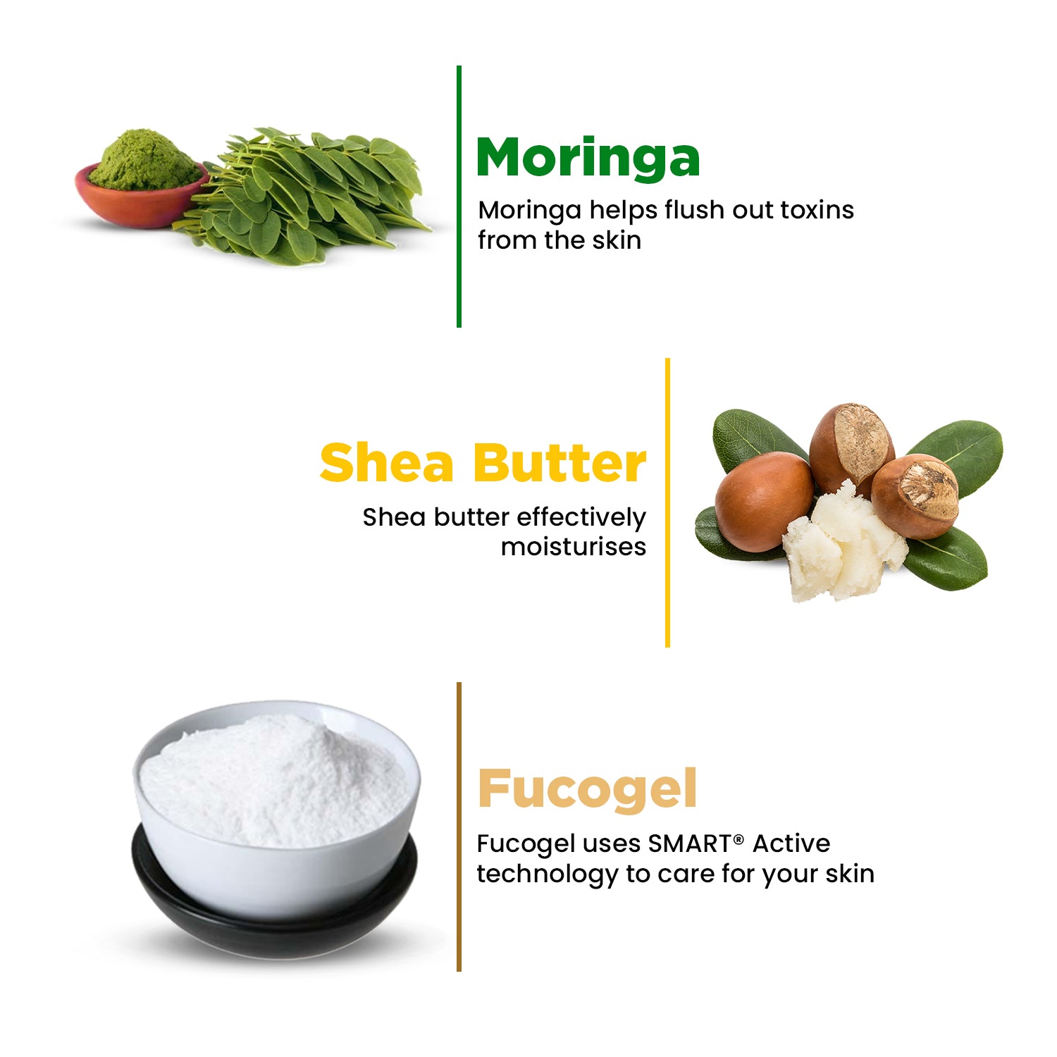 Moringa Face Massage Cream | Detoxifies & Nourishes Healthy Glow | 50g