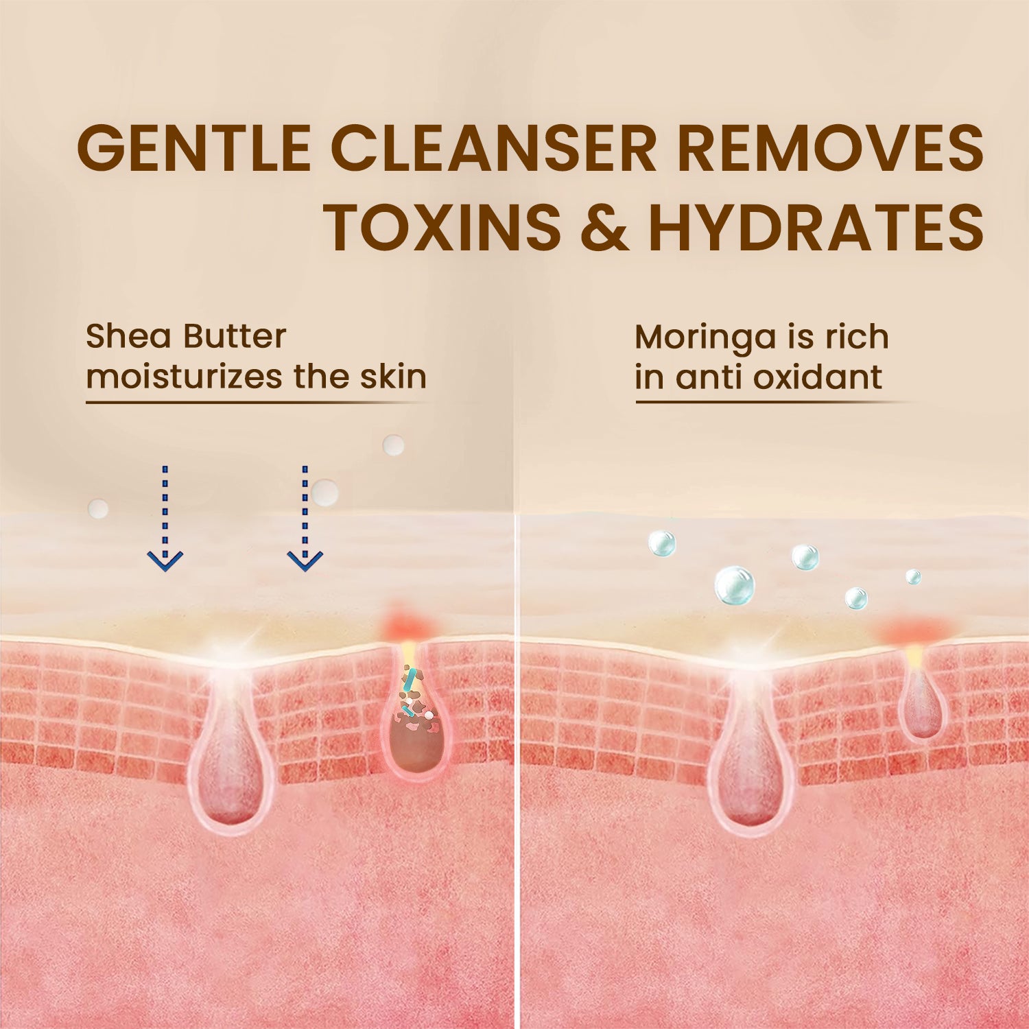 Pore Cleansing Facewash | Non-Drying & Moisturising | All Skin Types | Moringa & Shea Butter | 100ml