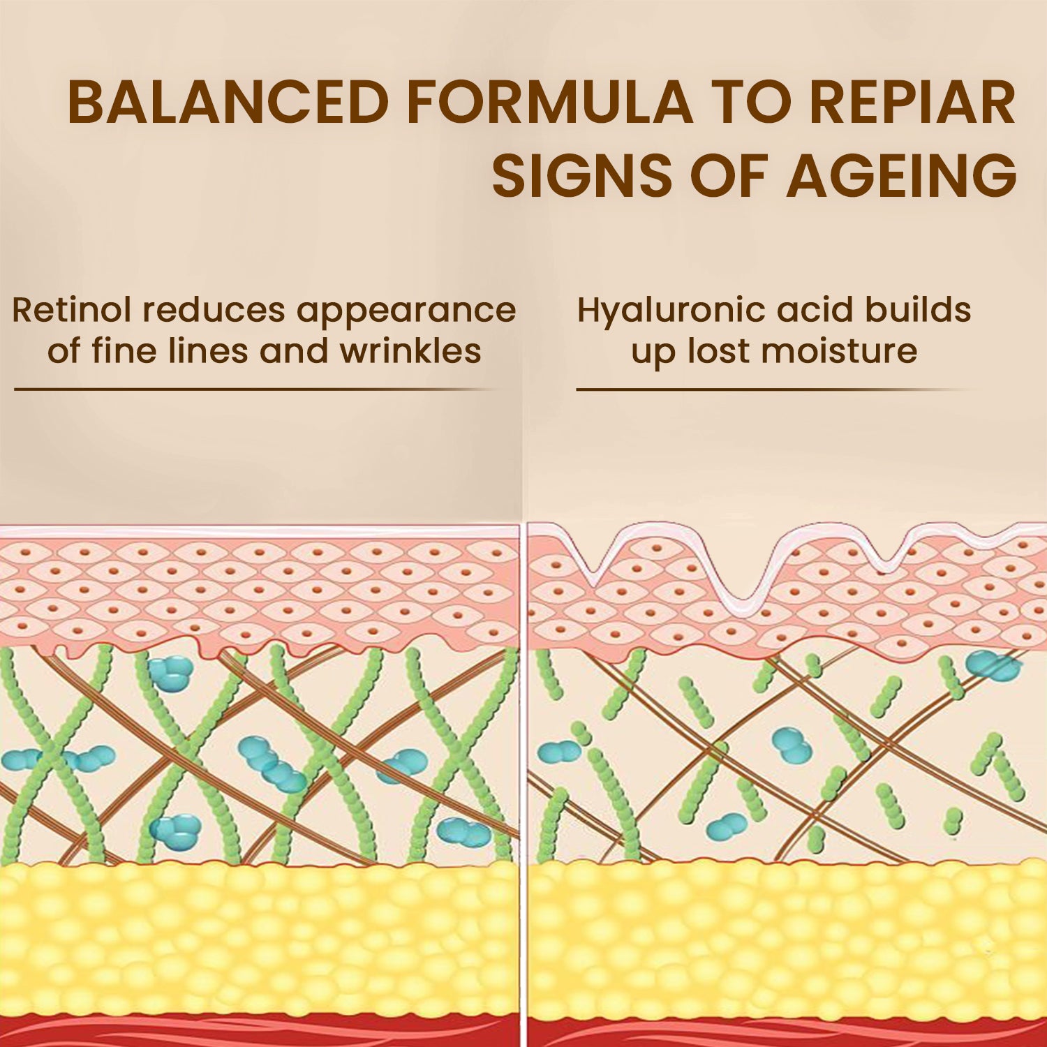 Anti-Ageing Serum | For Wrinkles, Fine Lines & Discoloration | All Skin Types | 40ml
