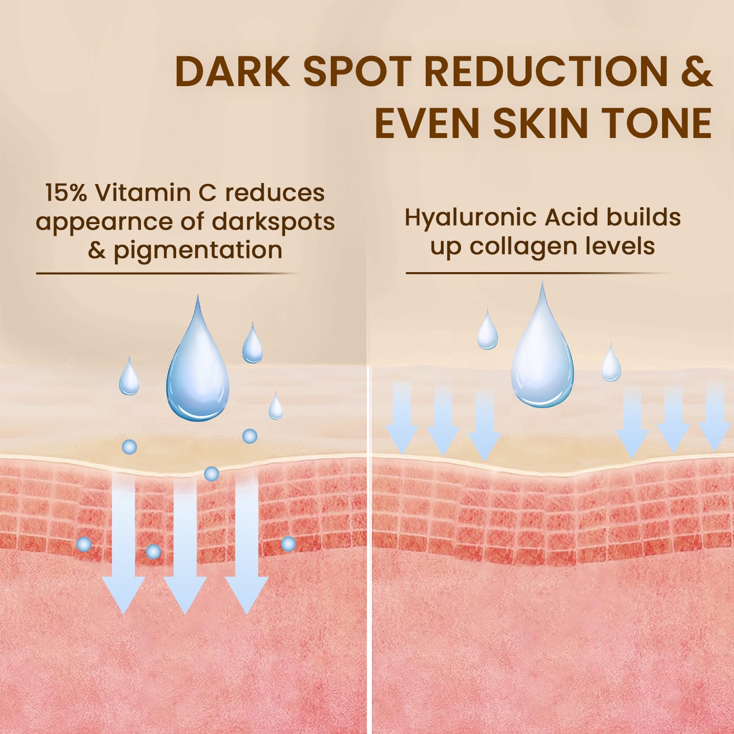 5 in 1 Daily Repair Face Serum | Vitamin C | 40ml
