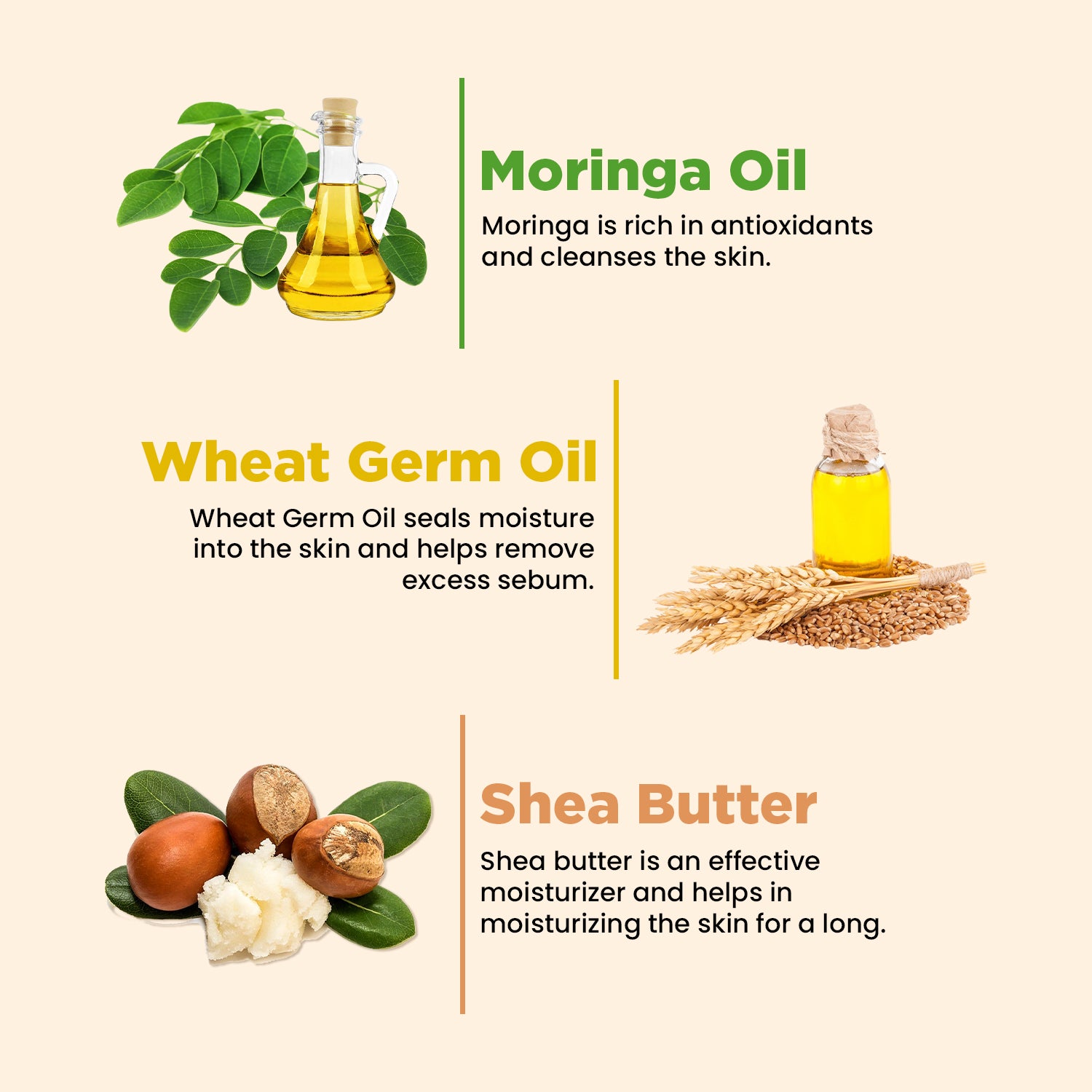 Moisturising Cream | Intense Hydration | Non Oily | All Skin Types | Moringa, Wheat Protein, Amino Acids | 50g