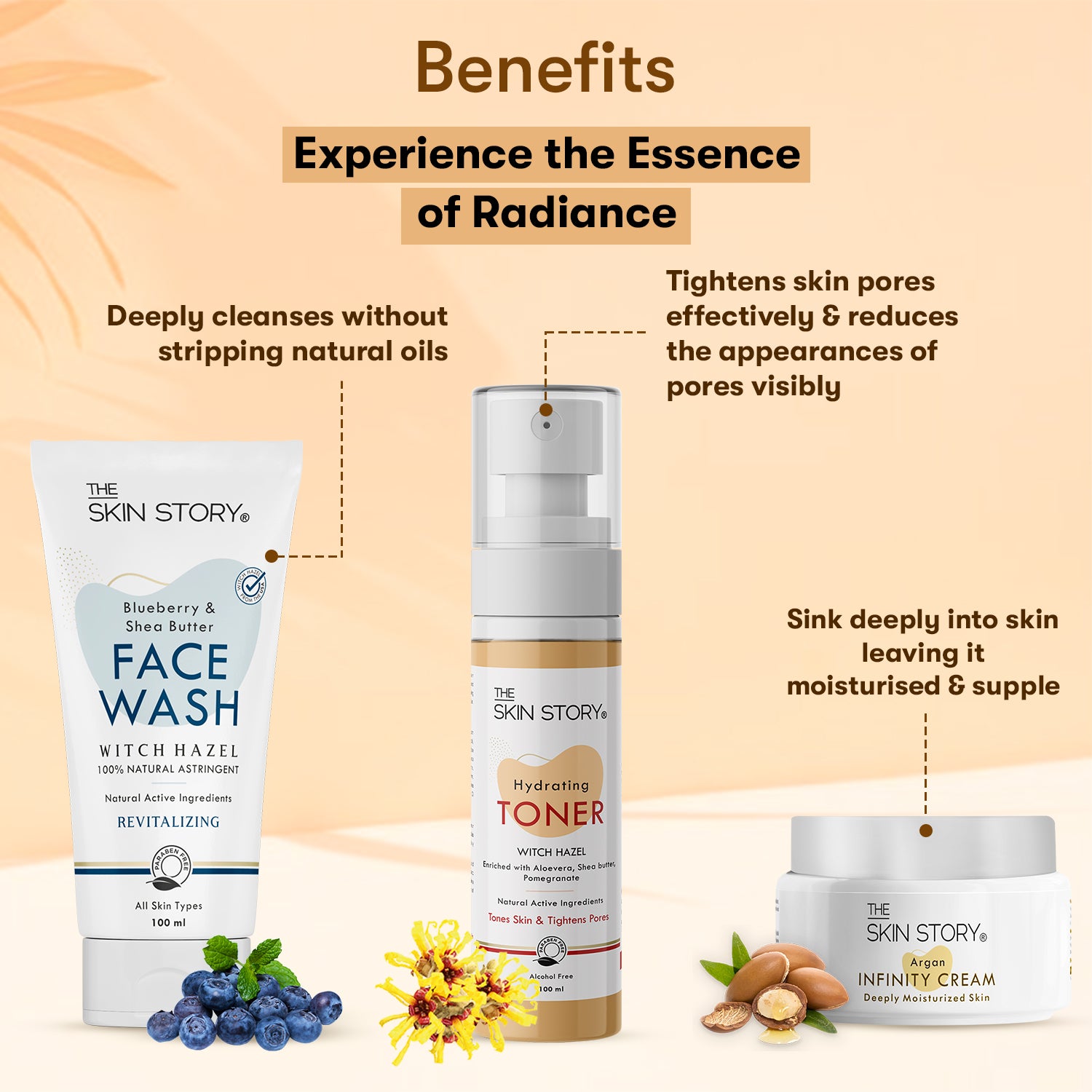 The Skin Story Simple Skincare Trio (CTM) (The Skin Story Blueberry Facewash, 100g The Skin Story Witch Hazel Toner, 100ml The Skin Story Argan Infinity Cream, 50g)