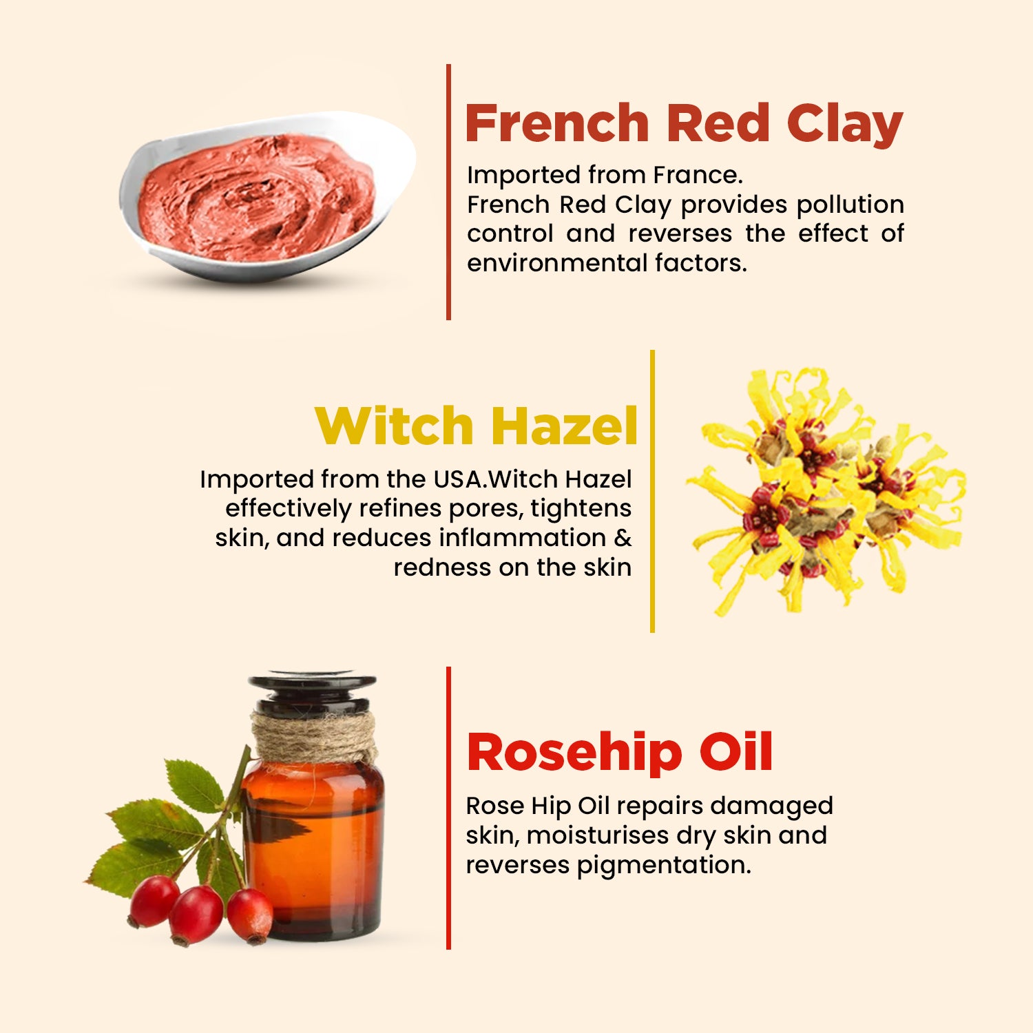 Oil Control Facewash | Sensitive & All Skin Types | French Red Clay & Rosehip | 100g