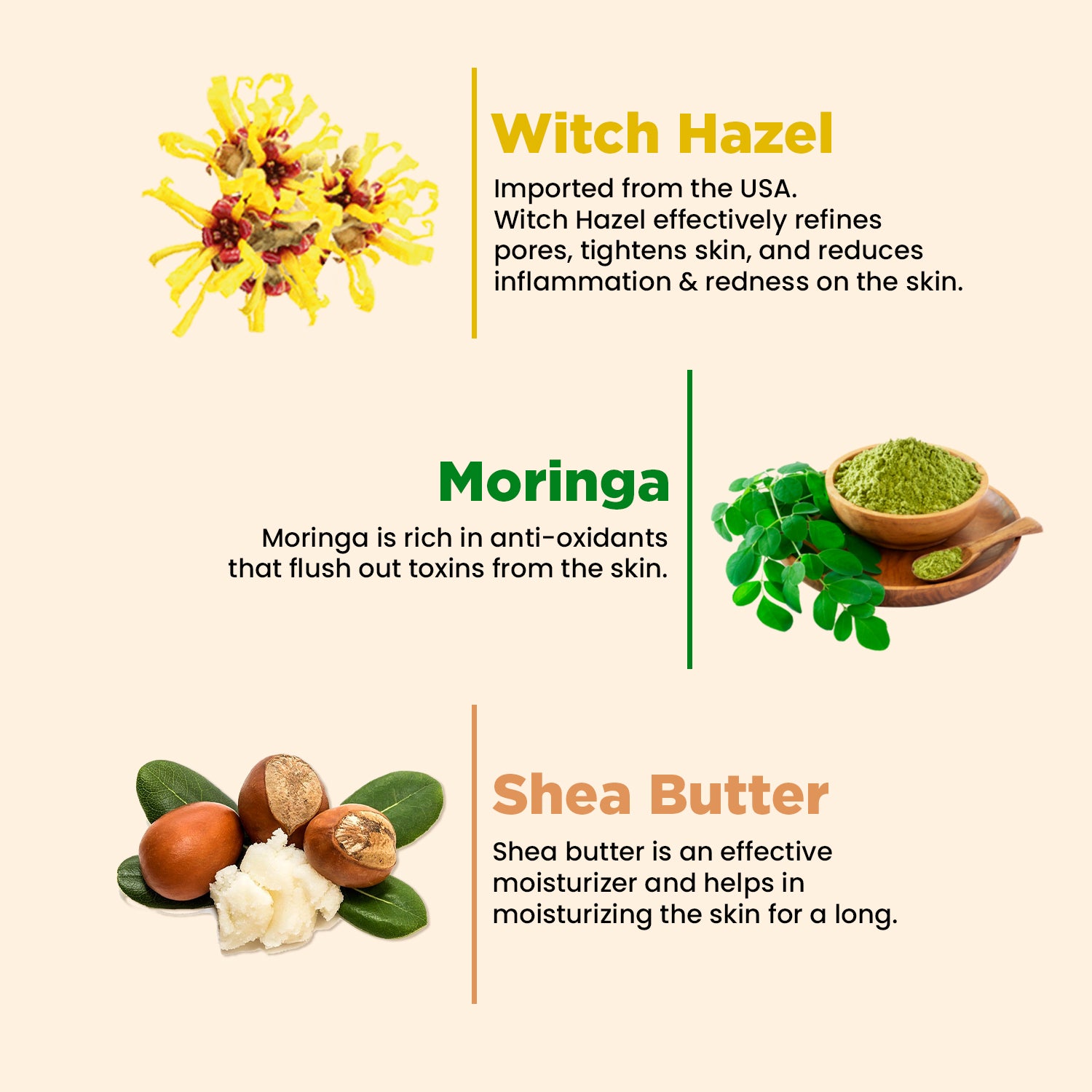 Pore Cleansing Facewash | Non-Drying & Moisturising | All Skin Types | Moringa & Shea Butter | 100ml
