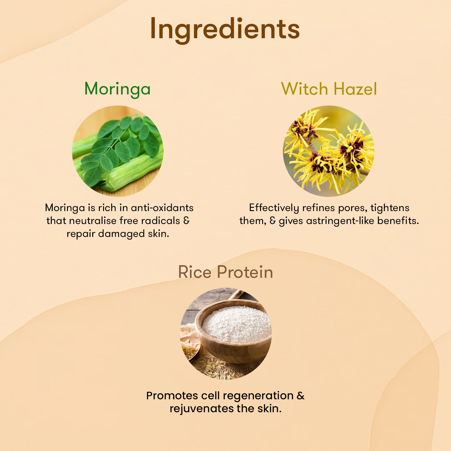 The Skin Story Classic Care Collection (CTM) (The Skin Story Gentle Cleansing Lotion, 100ml The Skin Story Moringa Toner, 100ml The Skin Story Nourishing & Moisturising Cream, 50g)