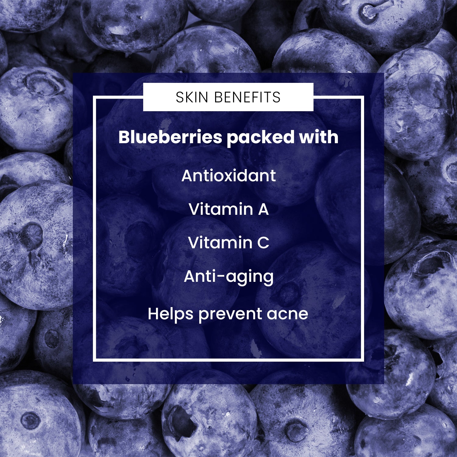 Blueberry Shower Gel