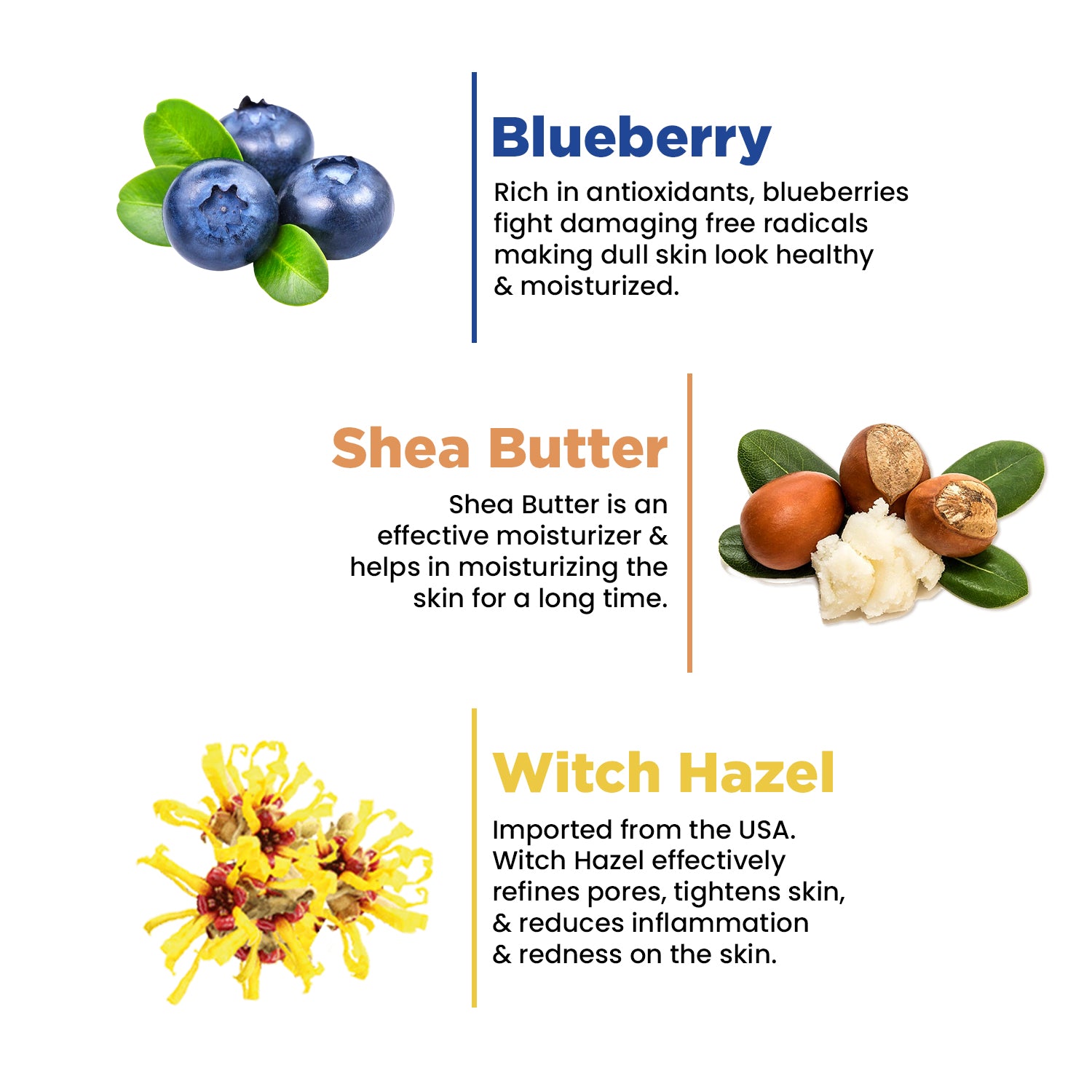 Deep Cleansing Facewash | Hydrates & Refreshes | Witch Hazel, Blueberry & Shea Butter | 100ml