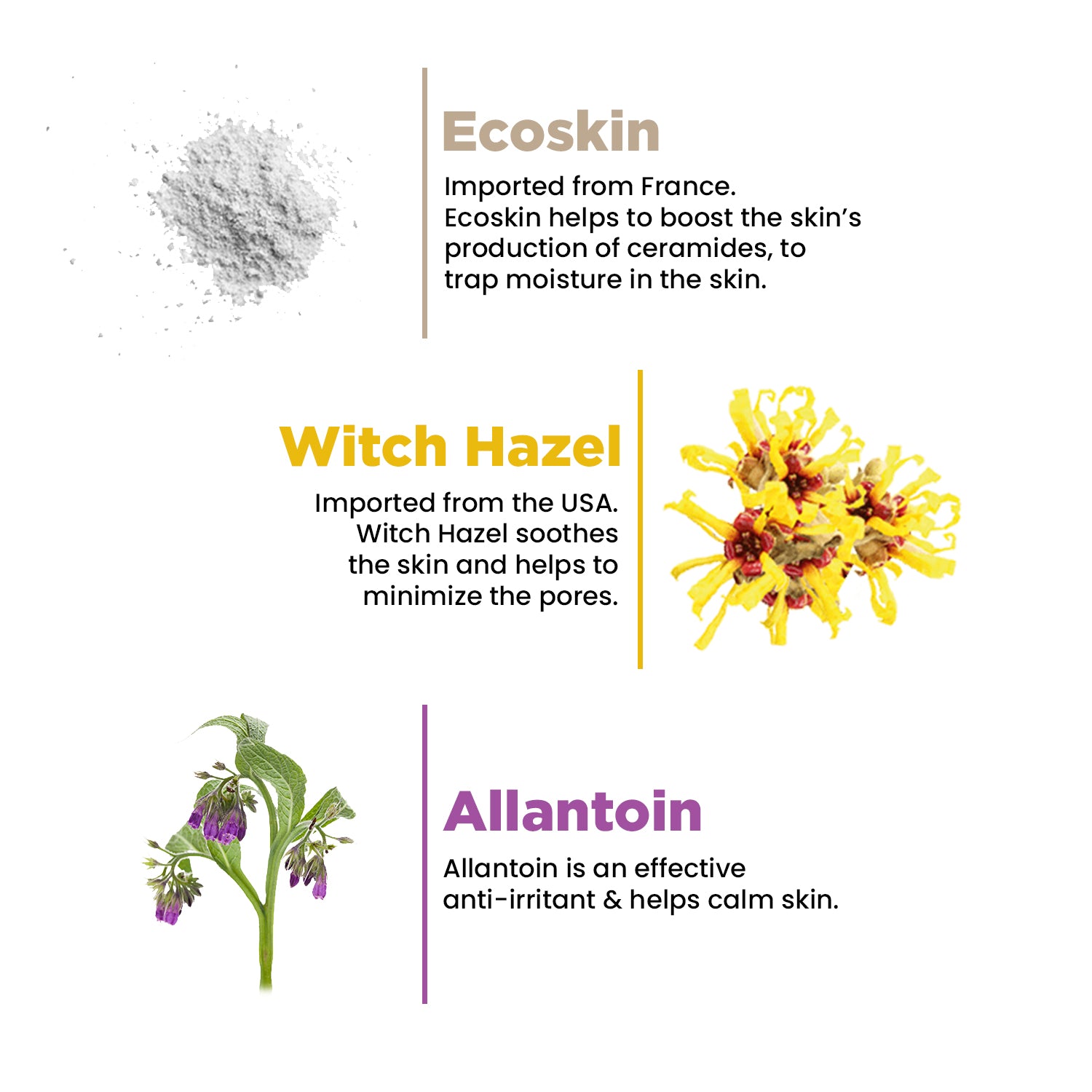 Deep Cleansing Foaming Facewash | Cleanses & Soothes | Ecoskin & Allantoin | 100ml