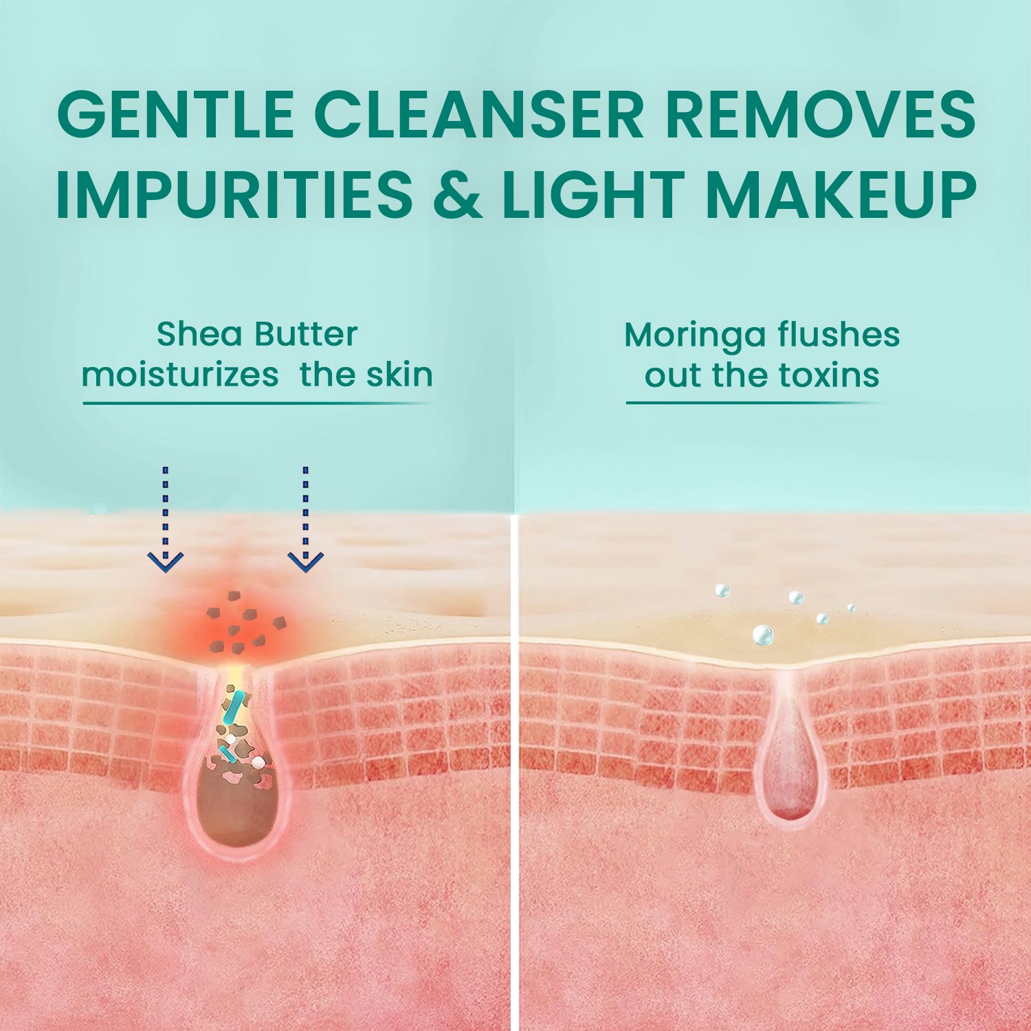 Gentle Cleansing Lotion | Nourishes & Hydrates | Moringa & Shea Butter | 100ml
