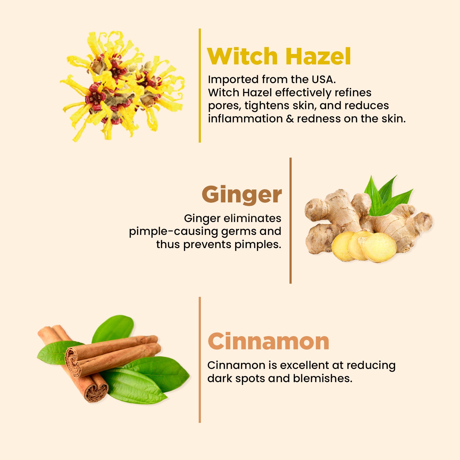 Pimple & Acne Control Face Wash | Fights Oil & Breakouts | Ginger, Cinnamon & Witch Hazel | 100ml