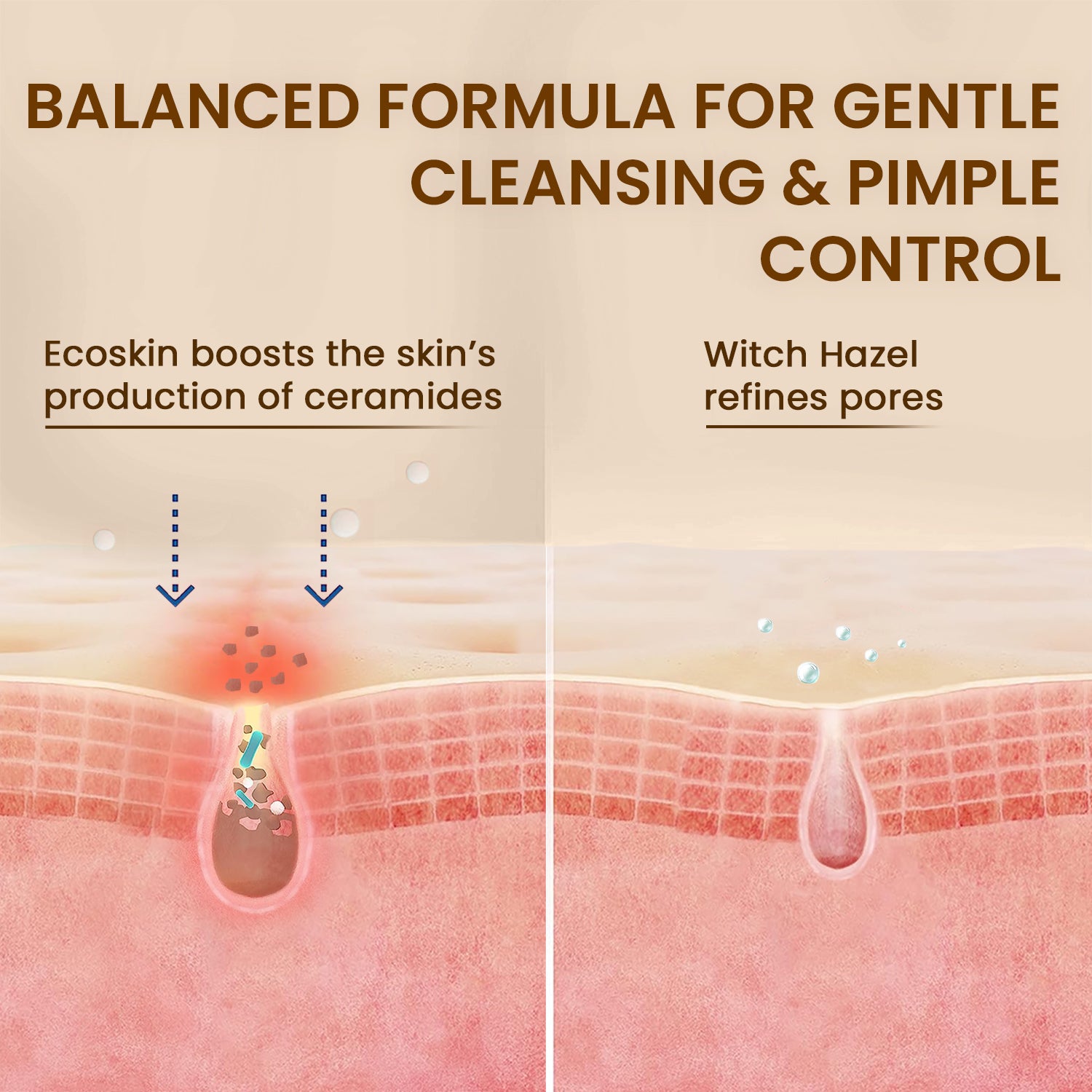 Deep Cleansing Foaming Facewash | Cleanses & Soothes | Ecoskin & Allantoin | 100ml
