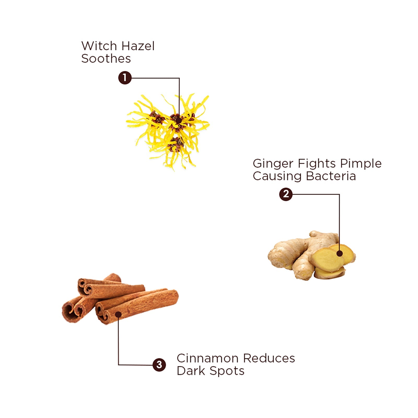 Pimple Control Combo Clear Glowing Skin - The Skin Story -