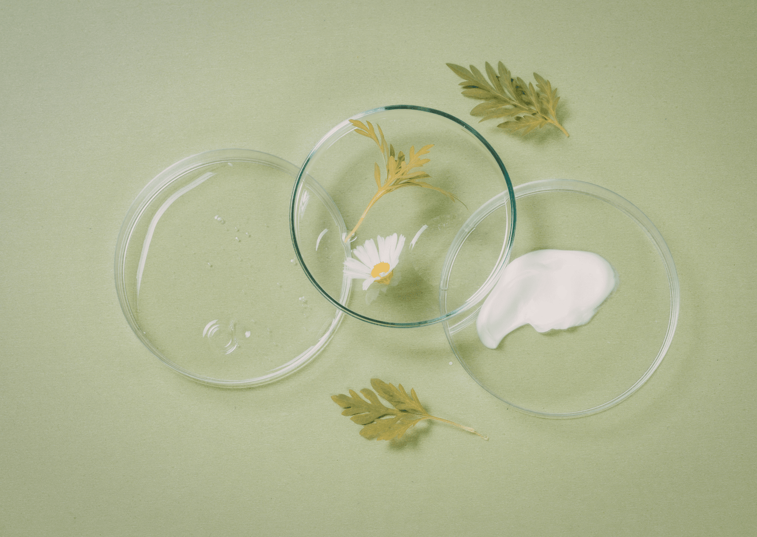 10 Harmful Ingredients to Avoid in Skincare for Healthy, Radiant Skin - The Skin Story