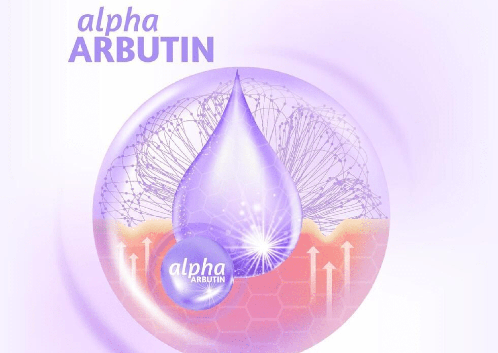 Alpha Arbutin: The Skincare Ingredient You Desperately Need for Glowing Skin - The Skin Story