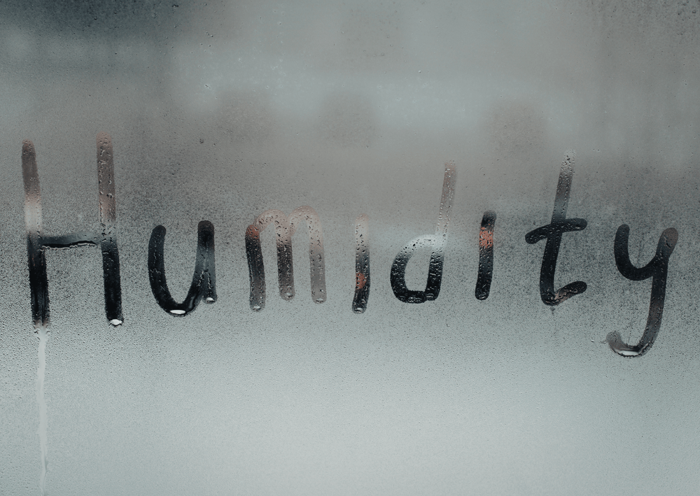 Navigating the Impact of Humidity on Your Skin & Hair - The Skin Story