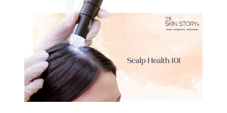 Scalp Health 101: The Foundation for Great Hair