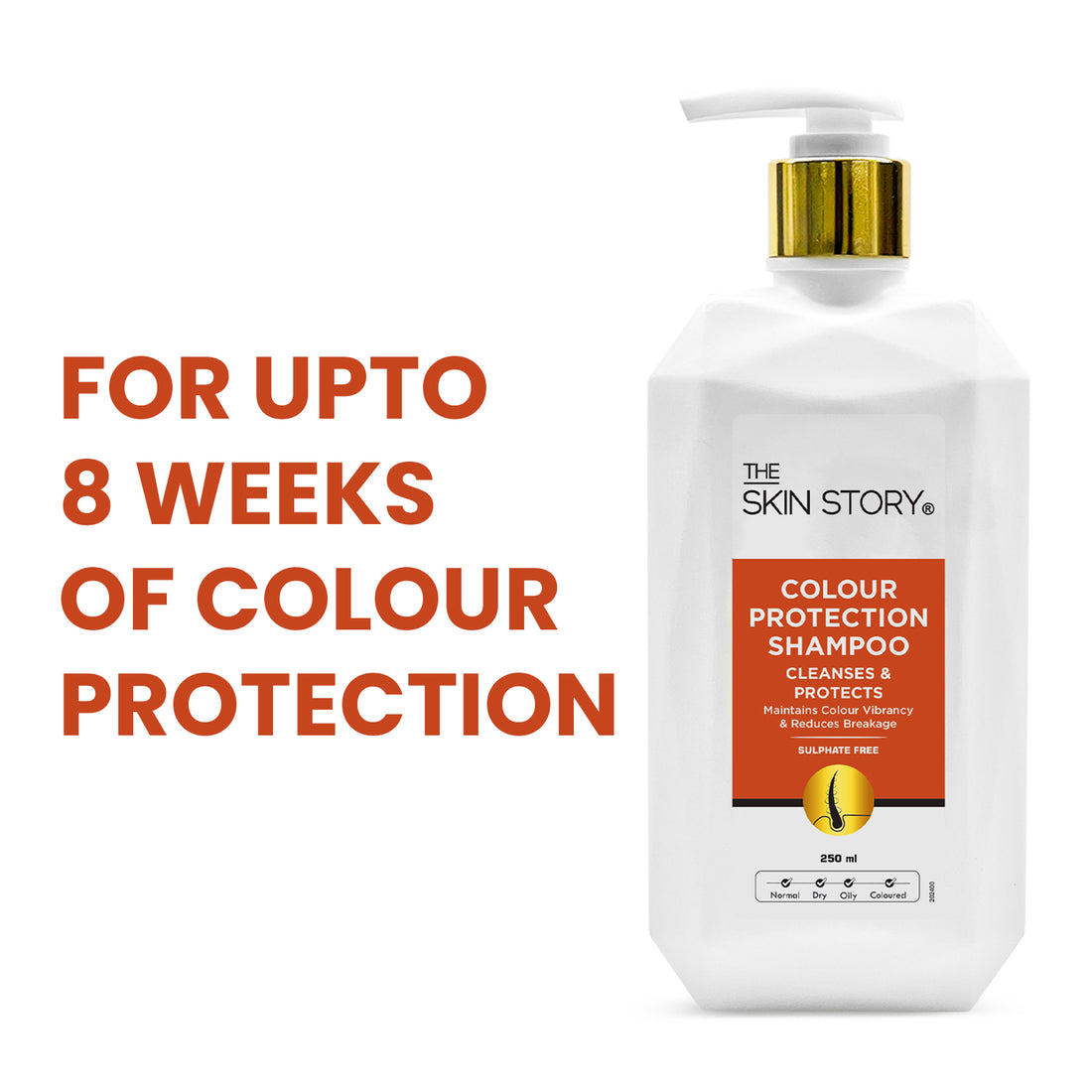 Colour Protection Shampoo | Protects &amp; Nourishes | Hydroxyshield™ &amp; Vitamin E | 250ml