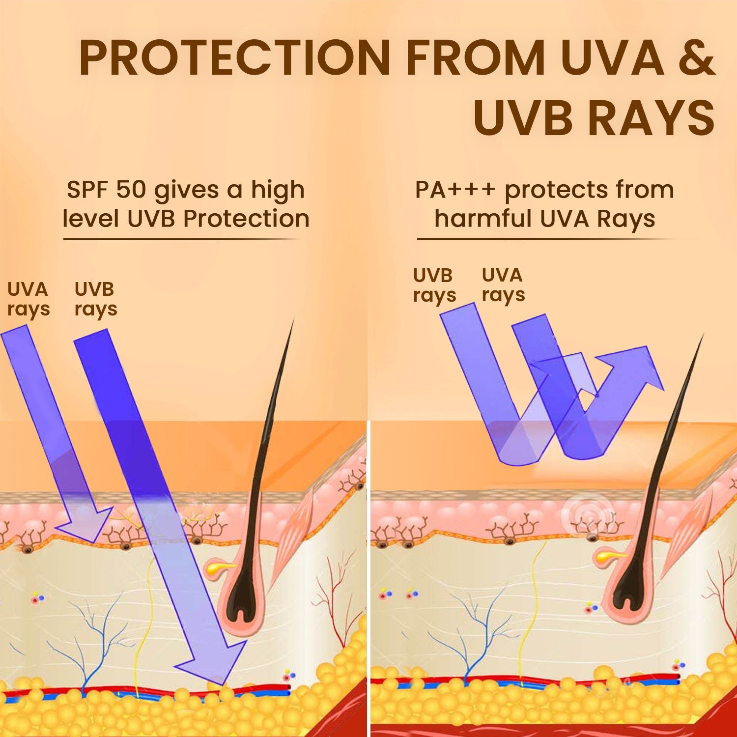 Broad Spectrum Sunscreen | UVA &amp; UVB Protection | All Skin Types | SPF 50 | Moringa Oil | 100g