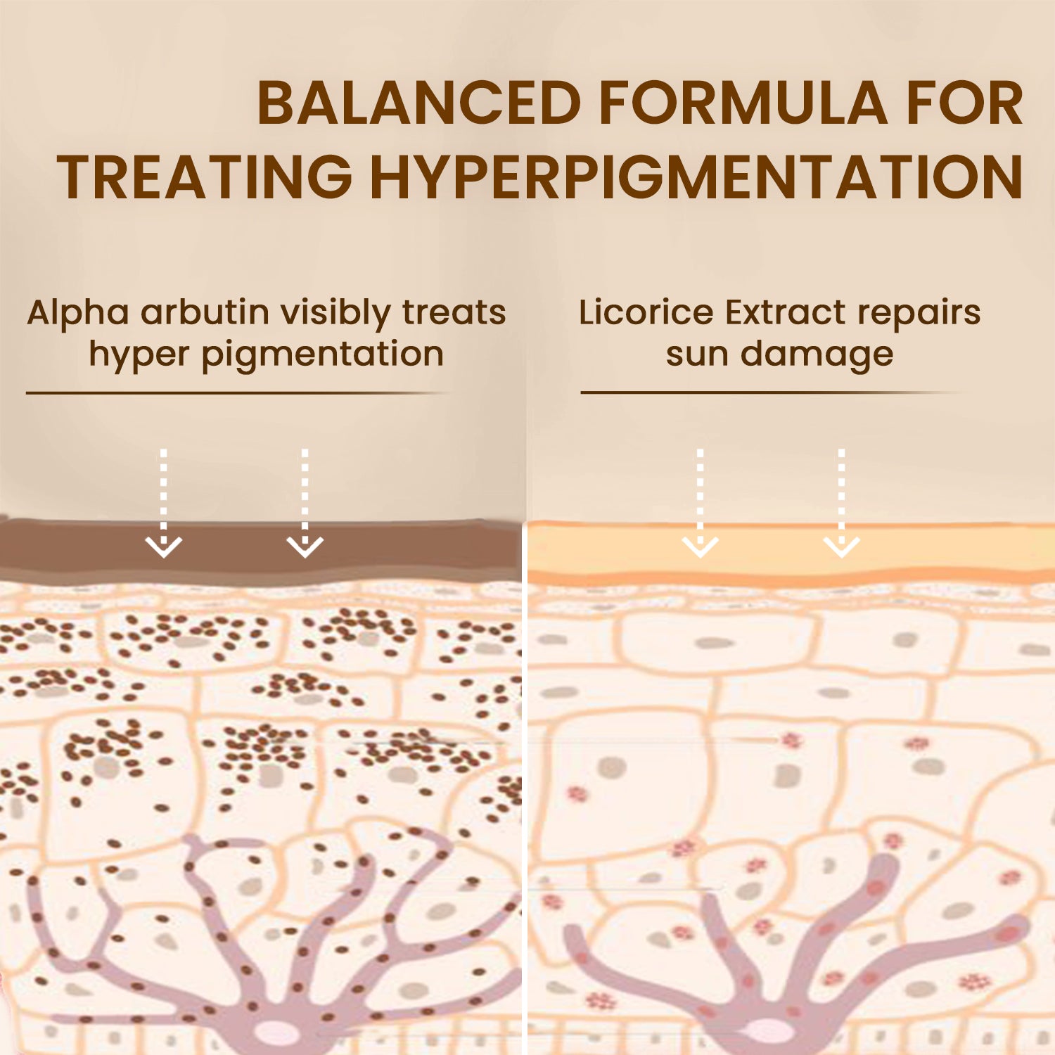 Pigmentation Corrector, Anti Pigmentation Serum For Even and Brighter Skin