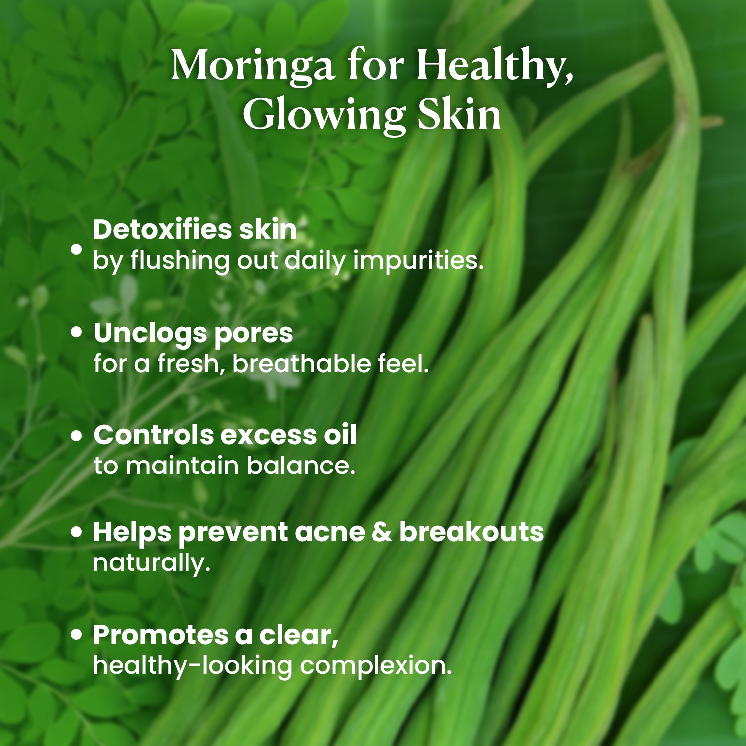 Moringa Purifying Face Pack | Removes Tan &amp; Controls Excess Oil | Brightens &amp; Revitalizes Skin | 100g