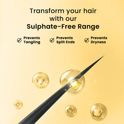 Sulphate Free Hair Care Kit (Shampoo + Conditioner) | For Dry &amp; Damaged Hair | Paraben Free | Anti Frizz Shampoo Conditioner