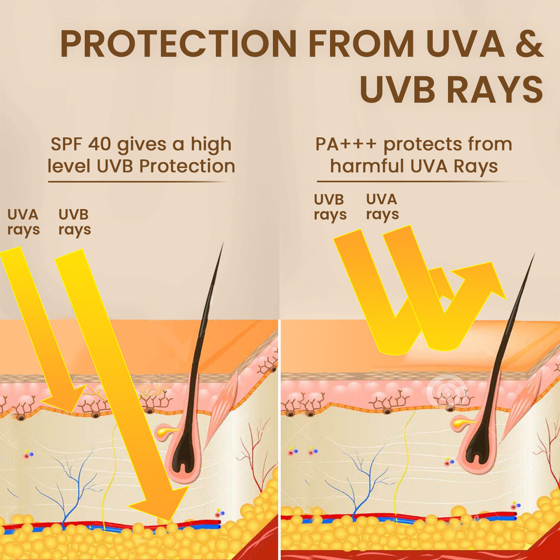 Tinted Sunscreen Mousse | SPF 30 | Protects &amp; Enhances Skin Tone | 40g