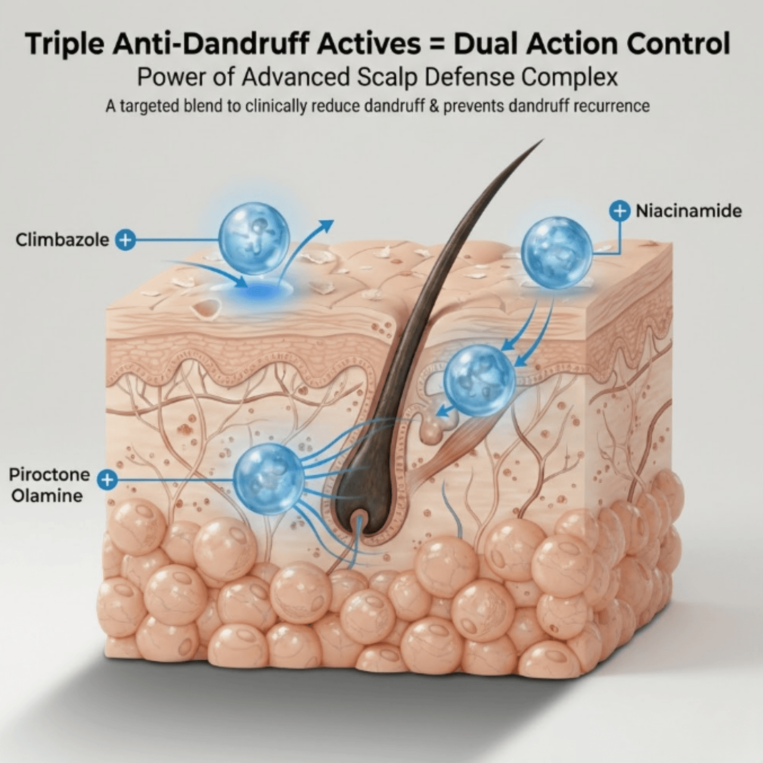 Anti - Dandruff Shampoo - The Skin Story - shampoo