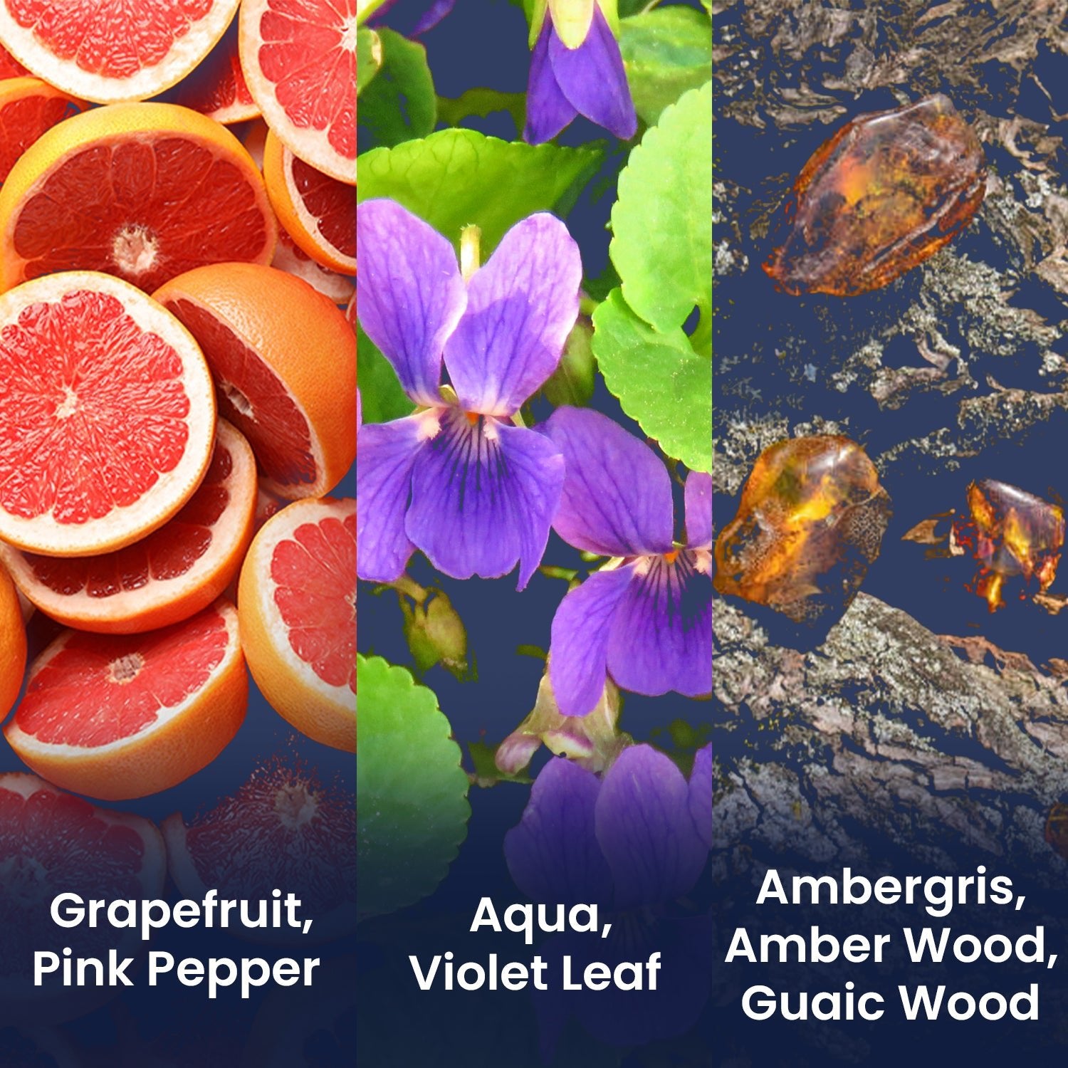 Aqua Date Night Oasis Eau De Perfume 100 ml - The Skin Story - 