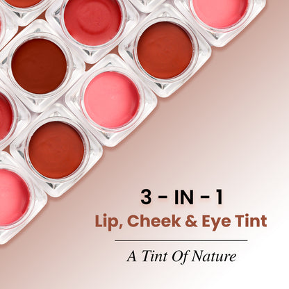 The Skin Story Lip &amp; Cheek Tint Nostalgic Nude, 3g