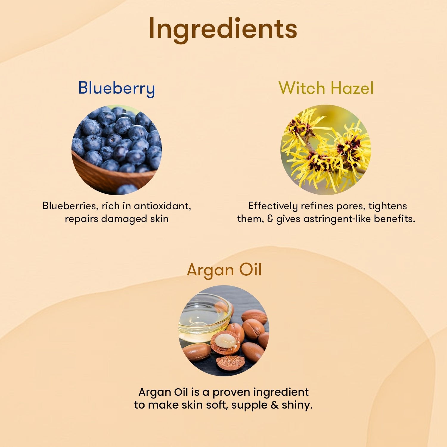 The Skin Story Simple Skincare Trio (CTM) (The Skin Story Blueberry Facewash, 100g The Skin Story Witch Hazel Toner, 100ml The Skin Story Argan Infinity Cream, 50g) - The Skin Story - Skincare Combo