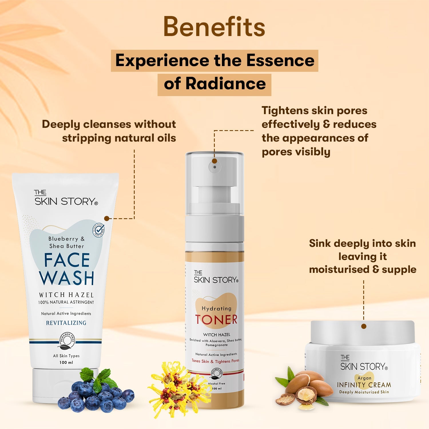 The Skin Story Simple Skincare Trio (CTM) (The Skin Story Blueberry Facewash, 100g The Skin Story Witch Hazel Toner, 100ml The Skin Story Argan Infinity Cream, 50g) - The Skin Story - Skincare Combo