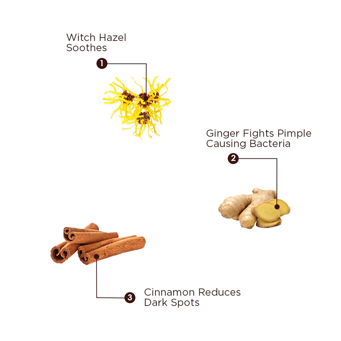 Pimple Control Combo Clear Glowing Skin - The Skin Story - 